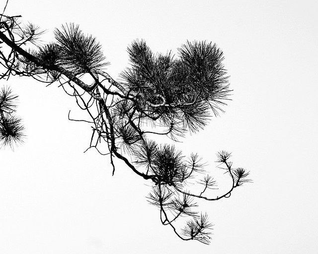 Мастер-класс по художественной технике работы с изображением