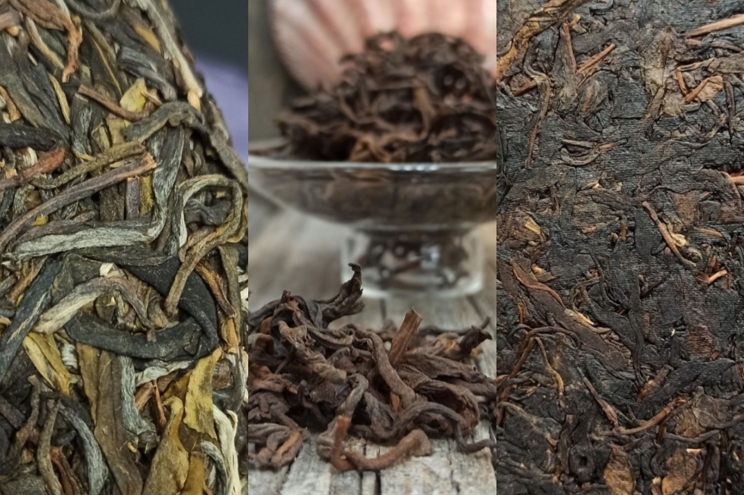 Дегустация шенов: от молодых к старым.